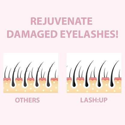Amber Lash Curlerful, Eyelash Lift and Brow Lamination Tube Set, For Professional Lash Perm and Brow Perm, Step 1 & Step 2, 20 ml / 0.67 floz each